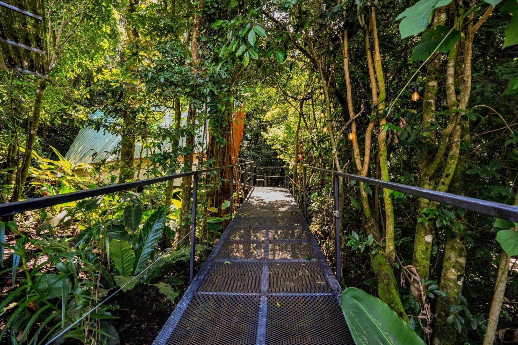 Tityra Lodge Monteverde Exterior foto