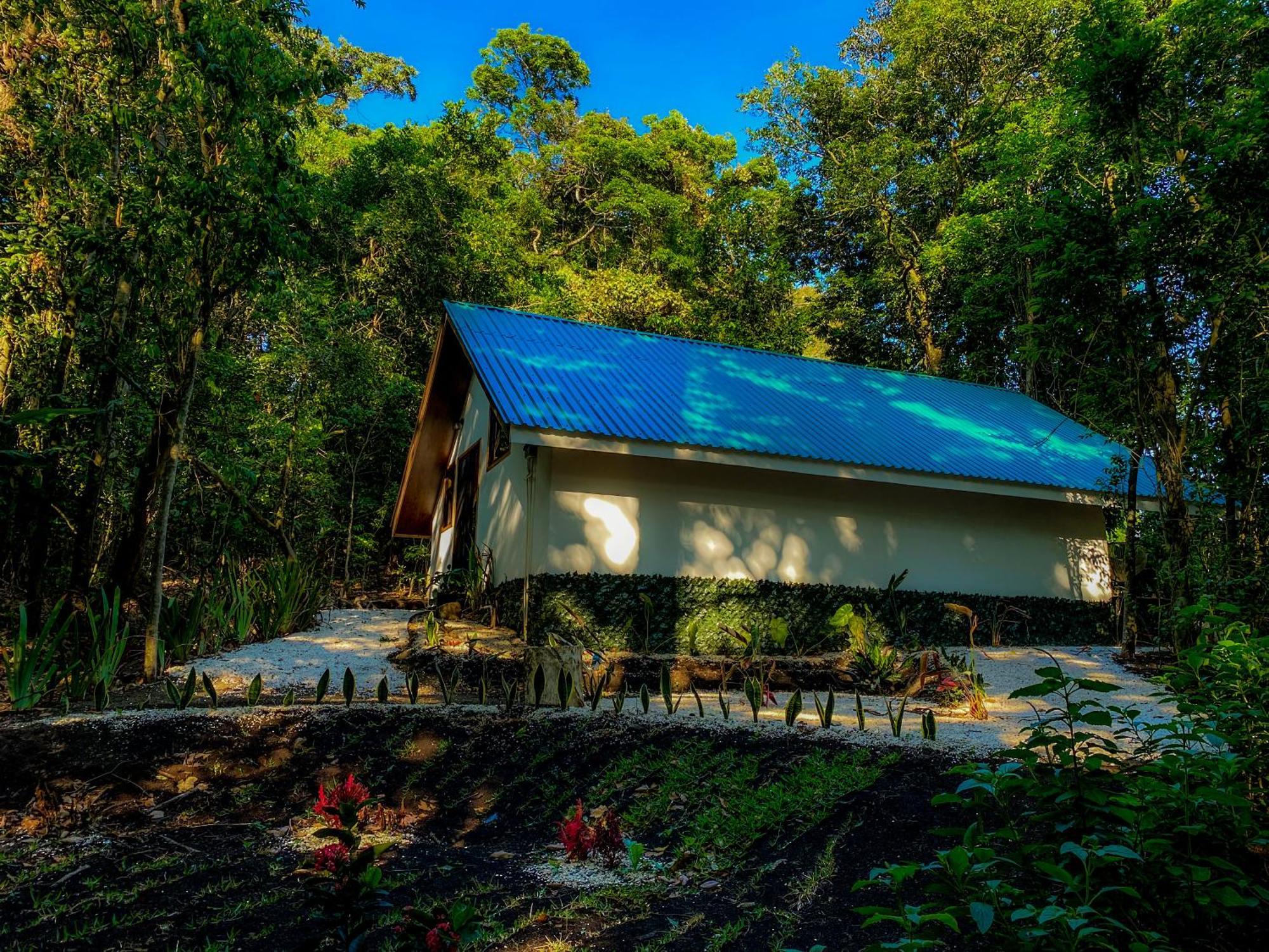 Tityra Lodge Monteverde Exterior foto